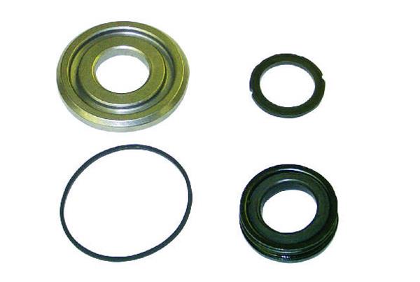 Shaft Seal Kit - Tecumseh