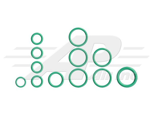 O ring Kit